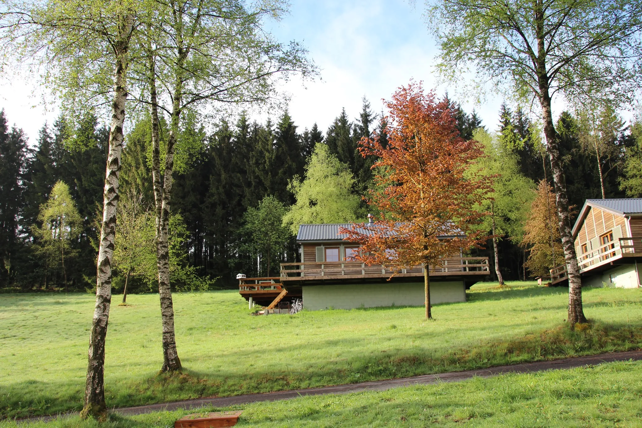 Le Chalet le Forestier — photo 2