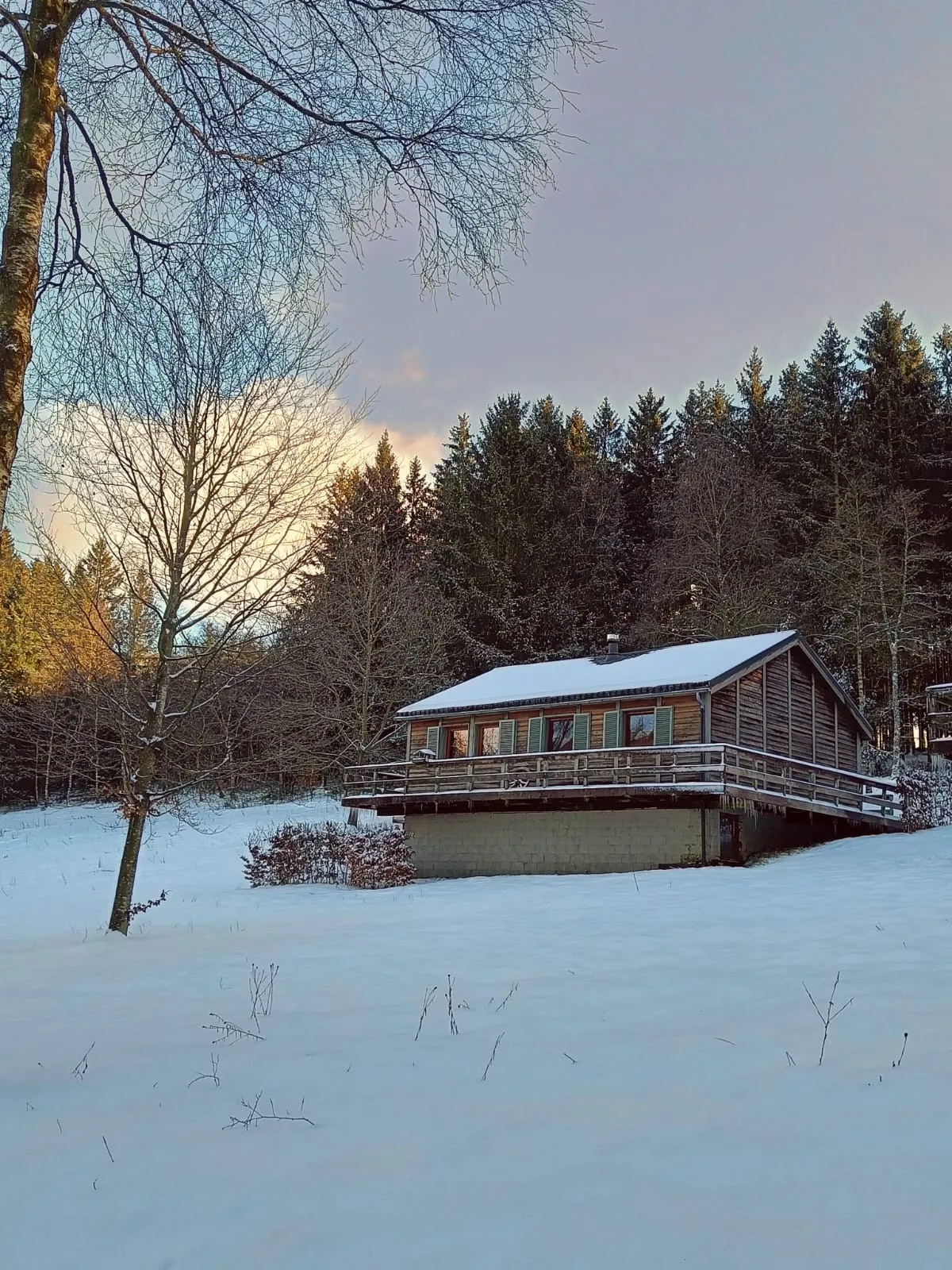 Le Chalet le Forestier — photo 3