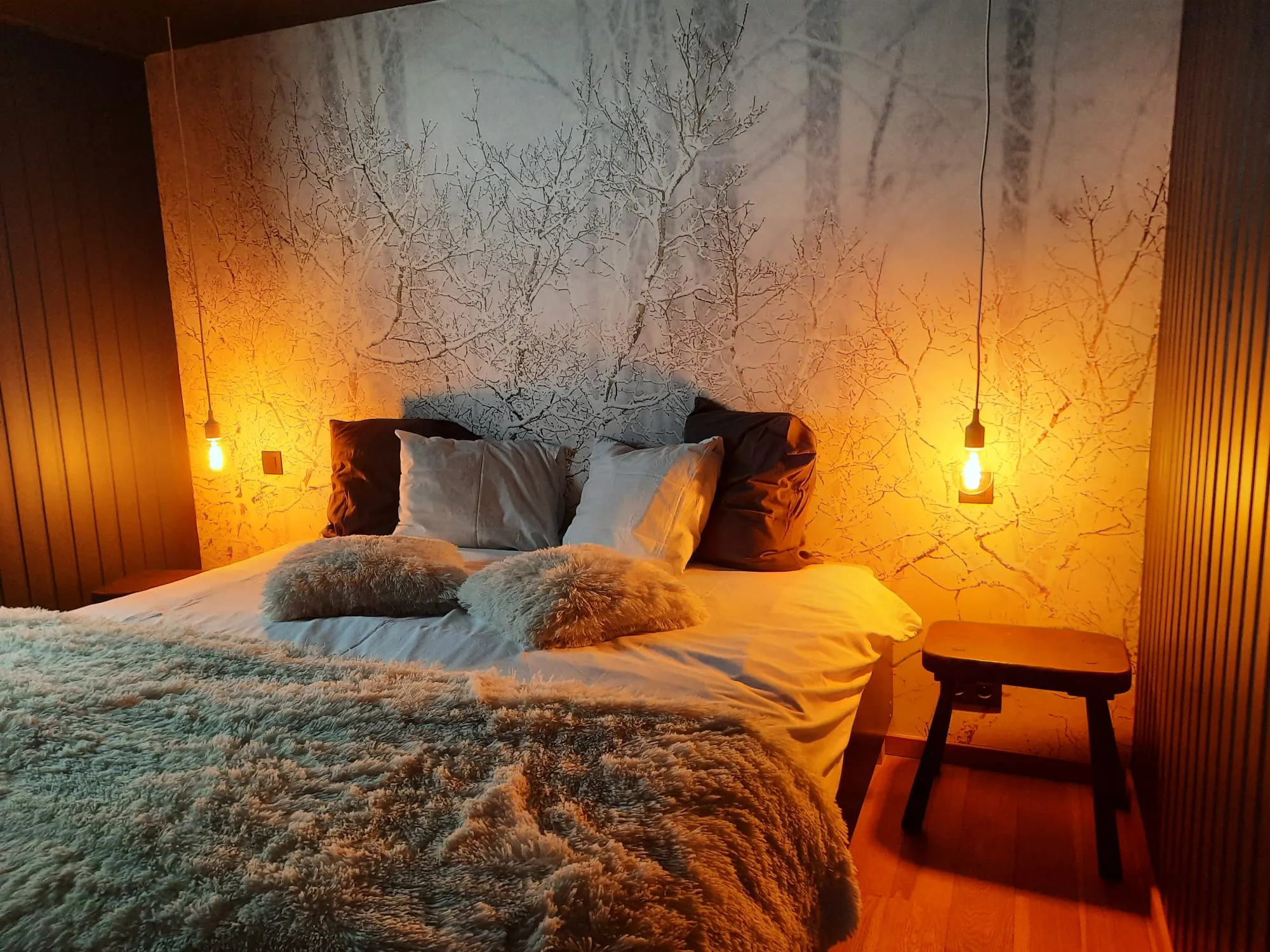 Le Chalet le Forestier — photo 11